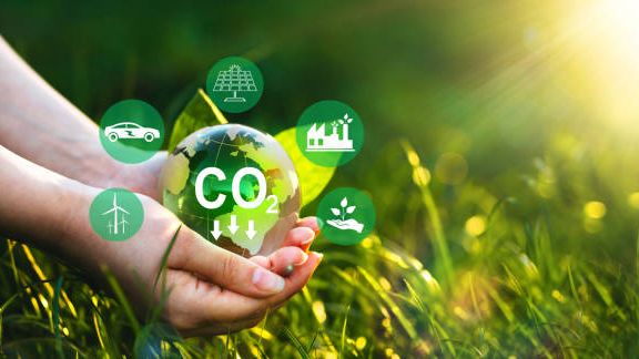 Desolventising toaster optimisation in Solvent extraction plants
