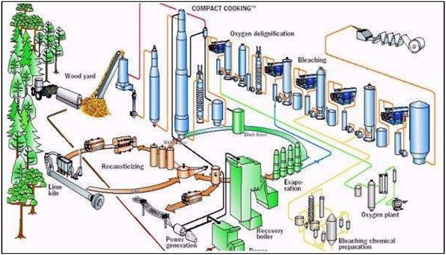 Pulp & Paper Plant